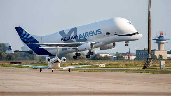 Beluga_XL